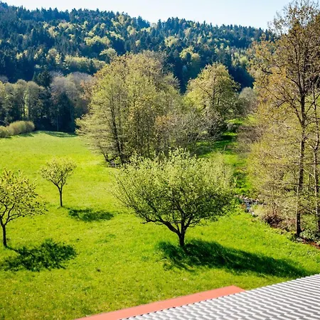 Σπίτι διακοπών Le De Bri Orbey