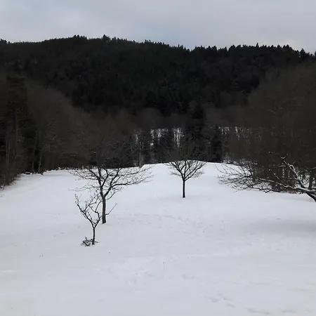 Le De Bri